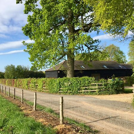 Mulberry Barn Bed & Breakfast Micheldever Bagian luar foto